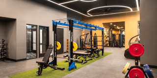 Fellow at Fitz Gallery 4