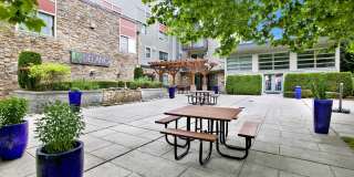 Delano Gallery 12