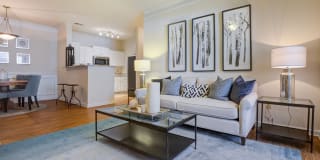 The Estates at Perimeter Gallery 17