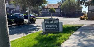 Dove Ridge Gallery 1