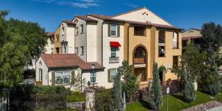 Paseos At Magnolia Luxury Apartment Homes Gallery 59