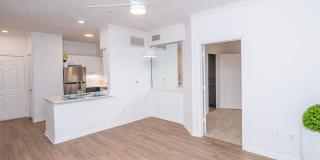 Whitney at The Heights Gallery 29