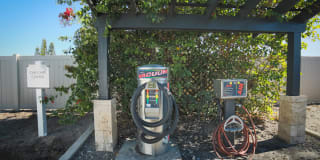 Palms of Clearwater Gallery 26