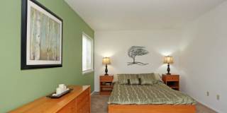 The Meadows Apartments Gallery 1