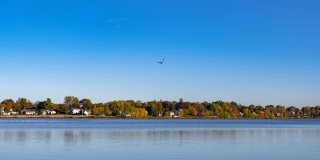 The Basin Gallery 81