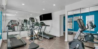 Willow Shores Gallery 14