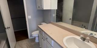 1013 Carlyle Cv Gallery 9