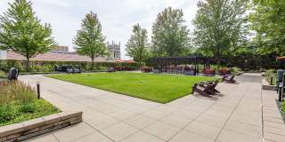 ReNew Oak Park Gallery 61