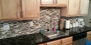 Beautifully Renovated Home in South Side Flats Gallery 1