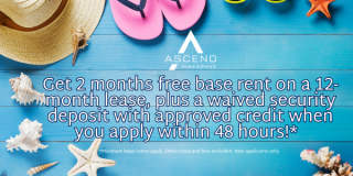 Ascend Pinegrove Gallery 65