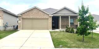 2966 Daisy Meadow Gallery 1