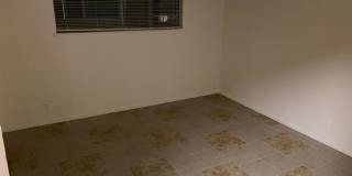 Maple 2 Gallery 20