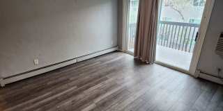 Beautiful Condo Gallery 5