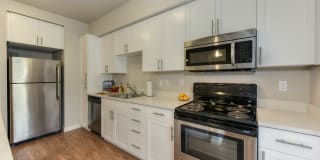 Madison Bellevue Gallery 4