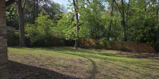 826 Wilma Street Gallery 4