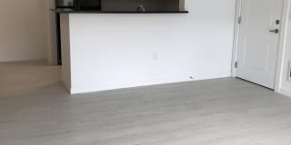 The Monika Gallery 2