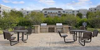 The Grove Somerset Gallery 21