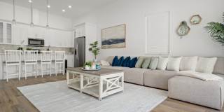 Gorgeous New Constriction House in Tampa - B Gallery 1