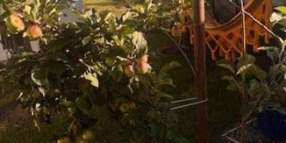 11841 Montecito Gallery 8