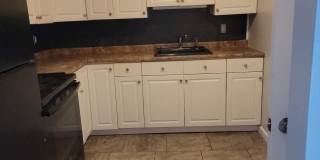 151 Snowshoe Court Gallery 5