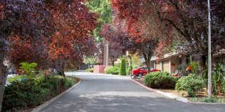 Forest Canyon Village Apartments Gallery 3