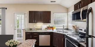 Austin Springs Gallery 5