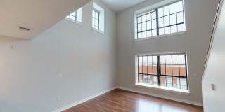 The Gunther Gallery 29