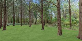 1562 Priscilla Court Gallery 67