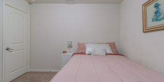 2831 Lavender Gallery 19