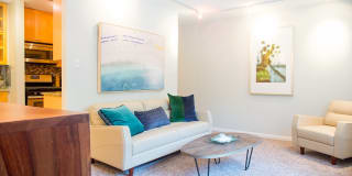 Artista 55 Apartments Gallery 5