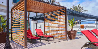 Vineyards Gallery 55