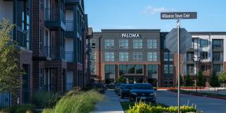 Paloma Village Gallery 7