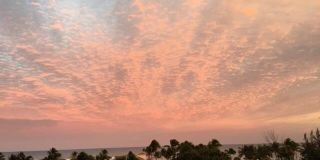 2840 N Ocean Boulevard Gallery 24