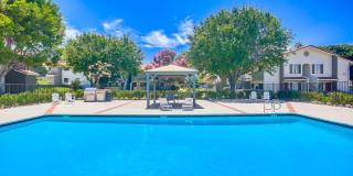 Las Ventanas Gallery 20