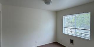 (343) Palatine Apartment  1 Bdrm / 1 Bthrm Gallery 4