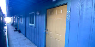 Updated 2 Bedroom off Guadalupe! 3815 Guadalupe Gallery 4