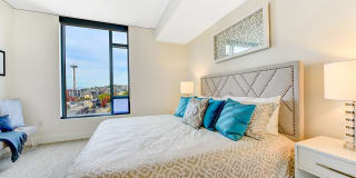 Windsor Cirrus Gallery 17