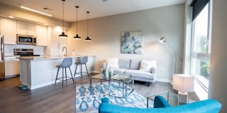 The Penny at Jackson Ward The Penny at Jackson Ward Gallery 17