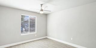 Paseo Park Gallery 11