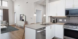 Avalon Harrison Gallery 2