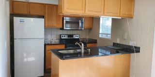 Sunny, newly remodeled 3 bed + office/2.5 bath in Applewood townhomes close to NOBO! Gallery 4