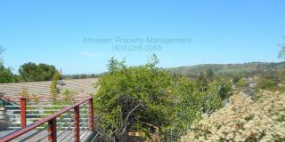Must See Custom Home! Great Schools, Central A/C & Pets Negotiable! Gallery 7