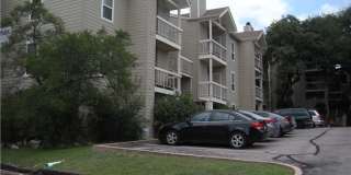 Hyde Park Oaks 206 - 1 Bed 1 Bath Gallery 4