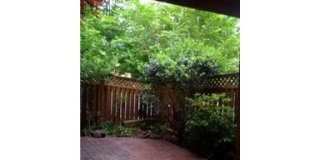 8502 HARVEST OAK DR Gallery 15