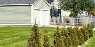 16 Robinson Street Gallery 22