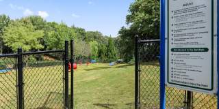 Laurel Hills Preserve Gallery 31