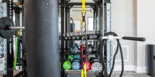 Alta Citron Gallery 36