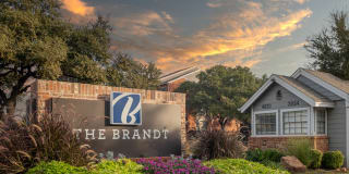 The Brandt Gallery 31