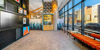 Kindred Gallery 7
