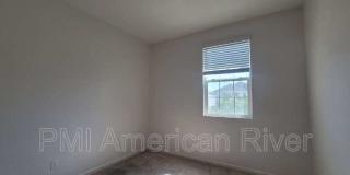 3805 Amelia Rose Way Gallery 7